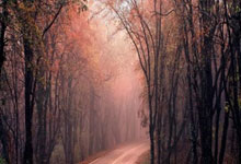 开云下载-《过山车式赛季揭秘：荣耀与泥泞间的破局之道》