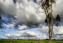 开云体育在线-浪尖上的北欧神话：瑞典泳团如何用0.23秒改写历史？