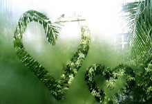 开云下载-《过山车式赛季揭秘：荣耀与泥泞间的破局之道》