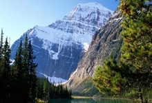 开云体育app-卡尔蒂斯防线稳固，力拼利物浦全力拿分