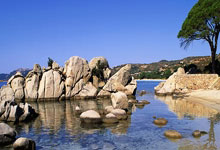 开云体育app-卡尔蒂斯防线稳固，力拼利物浦全力拿分