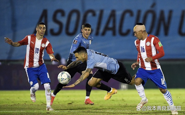 乌拉圭国家队今晚比赛将对阵巴拉圭队,备战充分的简单介绍 乌拉圭国家队今晚比赛将对阵巴拉圭队,备战充分的简单介绍