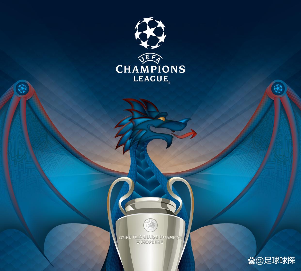 开云体育app-斯洛文尼亚队冲刺热门，凤凰涅槃逐梦欧冠