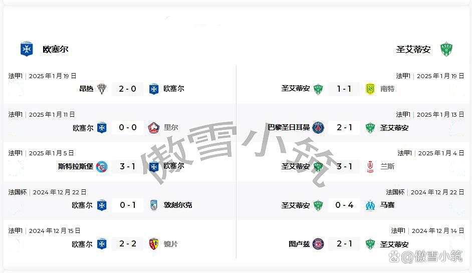 开云体育中国-圣埃蒂安主场告捷，法甲积分保持稳定