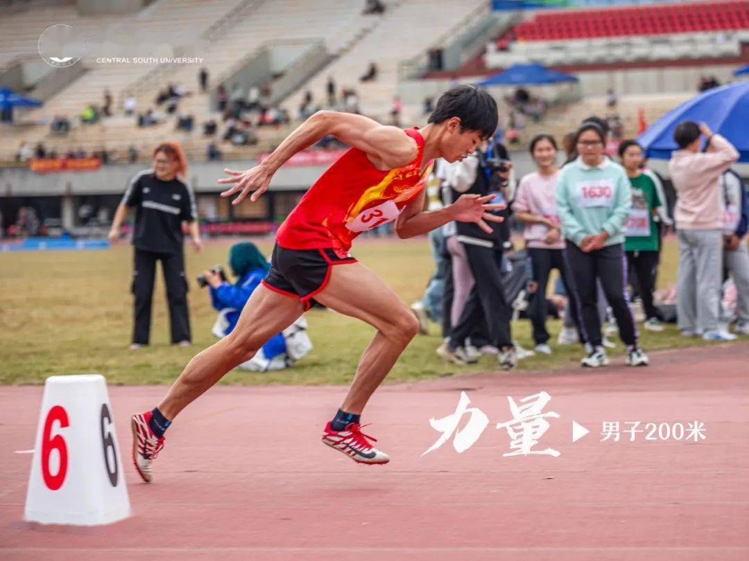 开云下载-运动员们在赛场上勇攀高峰，创造奇迹